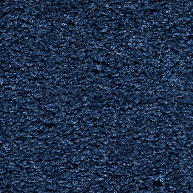 Nourison Shangri-la Shag Indoor Area Rug