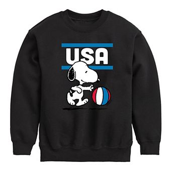 Boys 8-20 Peanuts USA BBALL Fleece Graphic Pullover