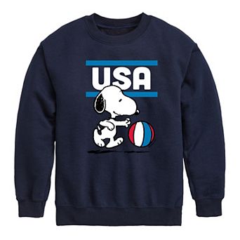 Boys 8-20 Peanuts USA BBALL Fleece Graphic Pullover