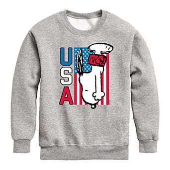 Boys 8-20 Peanuts USA Diving Fleece Graphic Pullover