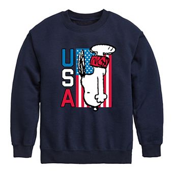 Boys 8-20 Peanuts USA Diving Fleece Graphic Pullover