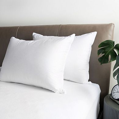 Firm 700 Fill Power Luxury White Duck Down Machine Washable White Bed Pillow