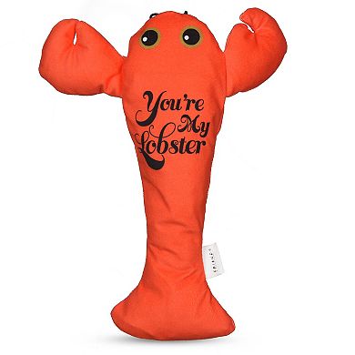 Friends You're My Lobster Kicker Cat Toy