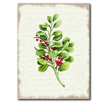 COURTSIDE MARKET Seasons Greetings Greenery I Wall Art