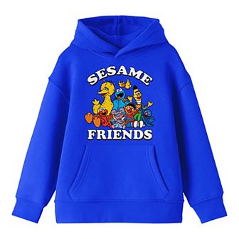 Boys 8-20 Sesame Street Sesame Friends Graphic Hoodie