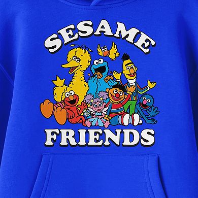 Boys 8-20 Sesame Street Sesame Friends Graphic Hoodie