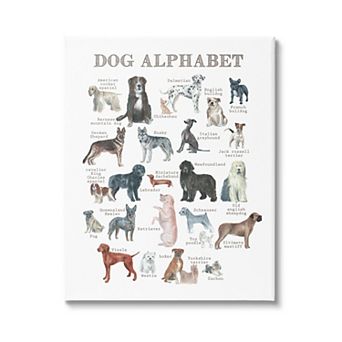 Stupell Home Decor Dog Alphabet Multiple Breeds Canvas Wall Art