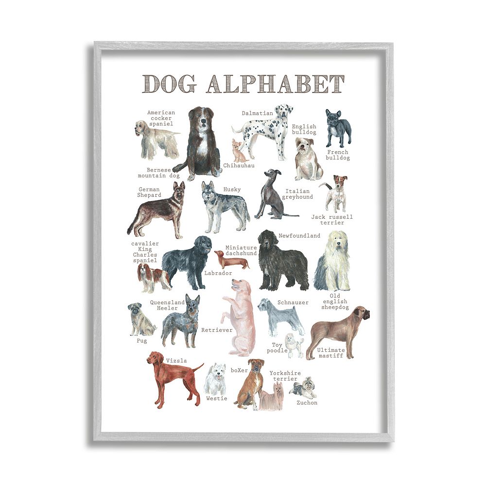 Stupell Home Decor Dog Alphabet Multiple Breeds Framed Wall Art
