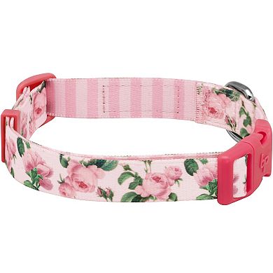 Blueberry Pet Rose Flower Print Padded Dog Collar