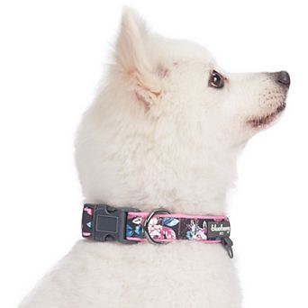 Blueberry Pet Rose Flower Print Padded Dog Collar