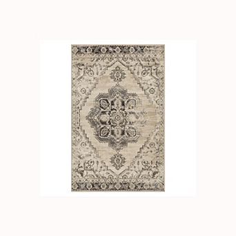SUPERIOR Brinton Distressed Medallion Area Rug or Runner