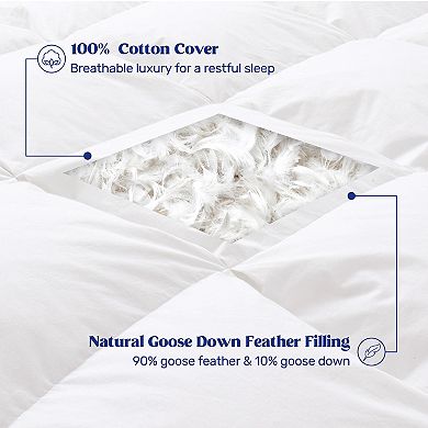 Unikome Fluffy Lightweight Down Duvet Insert, Cotton Cover, All Season Goose Down Bed Comforter