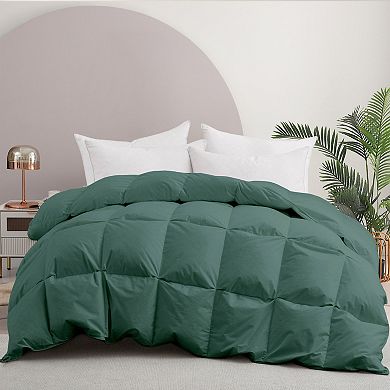 Unikome Fluffy Lightweight Down Duvet Insert, Cotton Cover, All Season Goose Down Bed Comforter