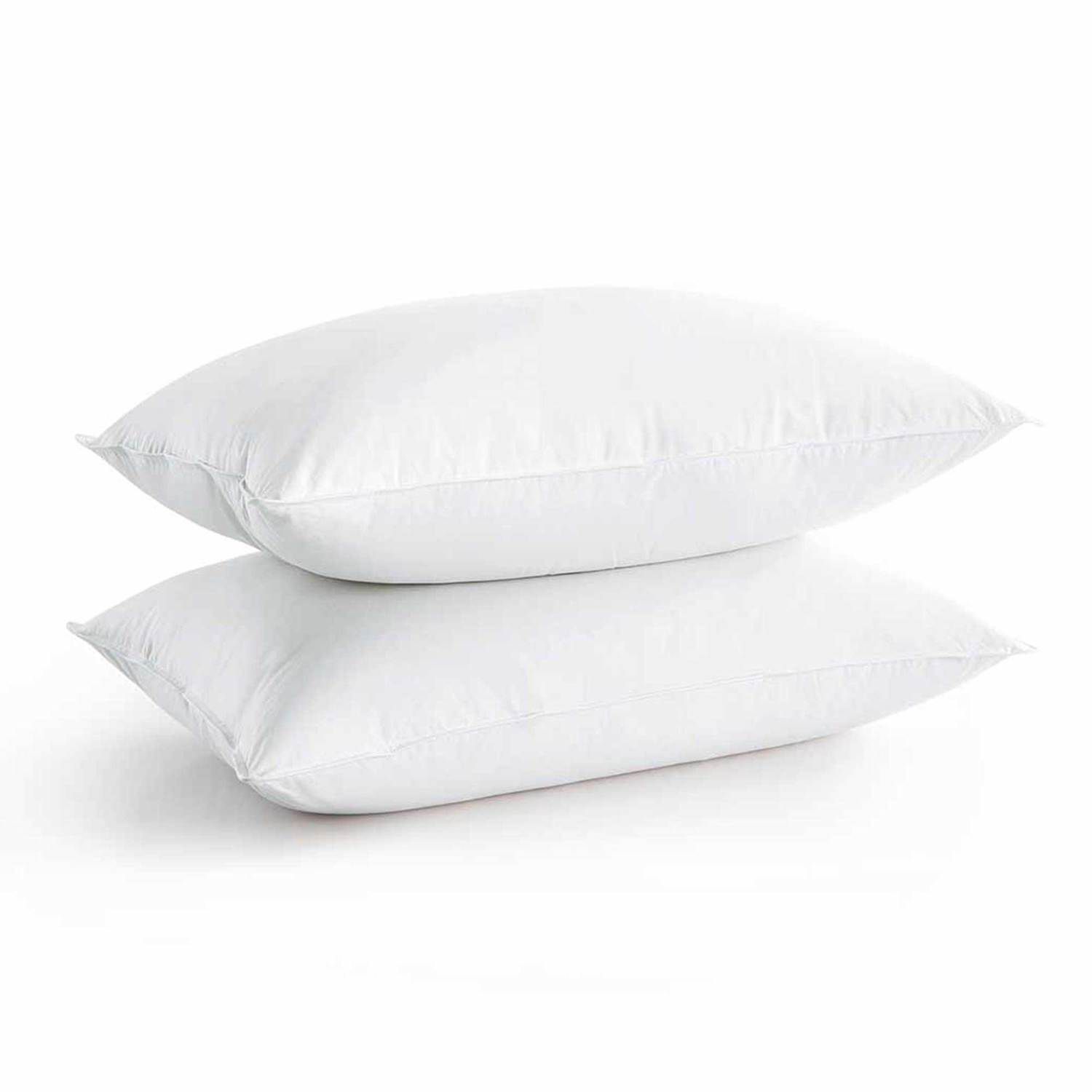 Euro 2pk RDS Bed Pillow - Eddie Bauer