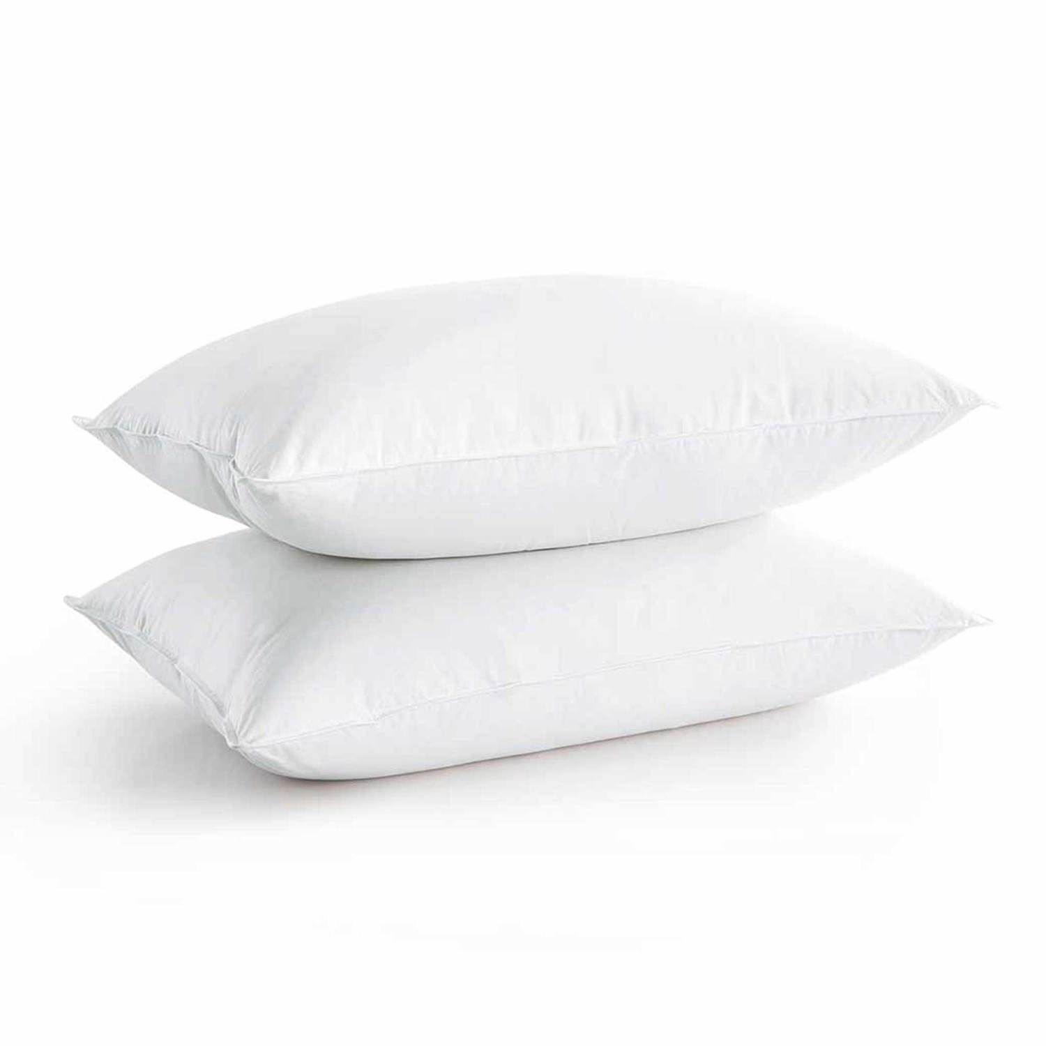 Kohls my pillow clearance firm