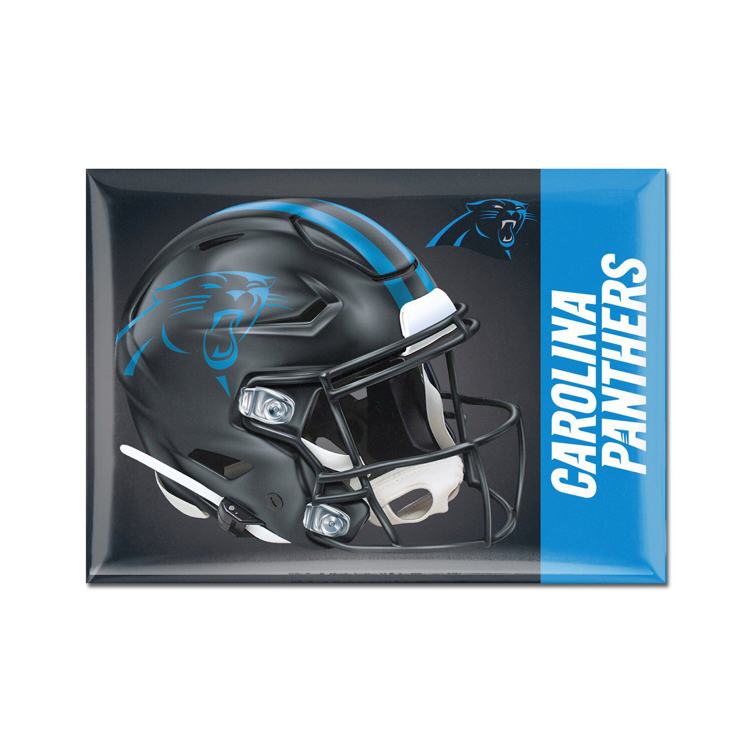 Carolina Panthers Mega 6 x 6 Oval Full Color Magnet