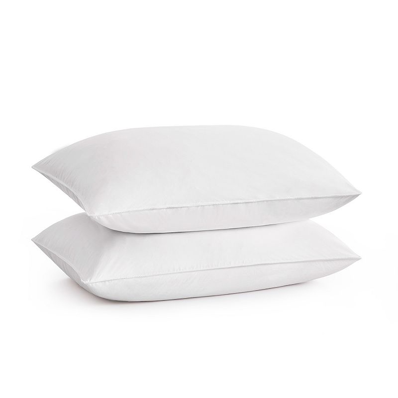 20x20 Medium Firm 2pk Decorative Feather Pillow Insert - Martha Stewart