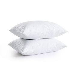 Kohls pillow clearance inserts