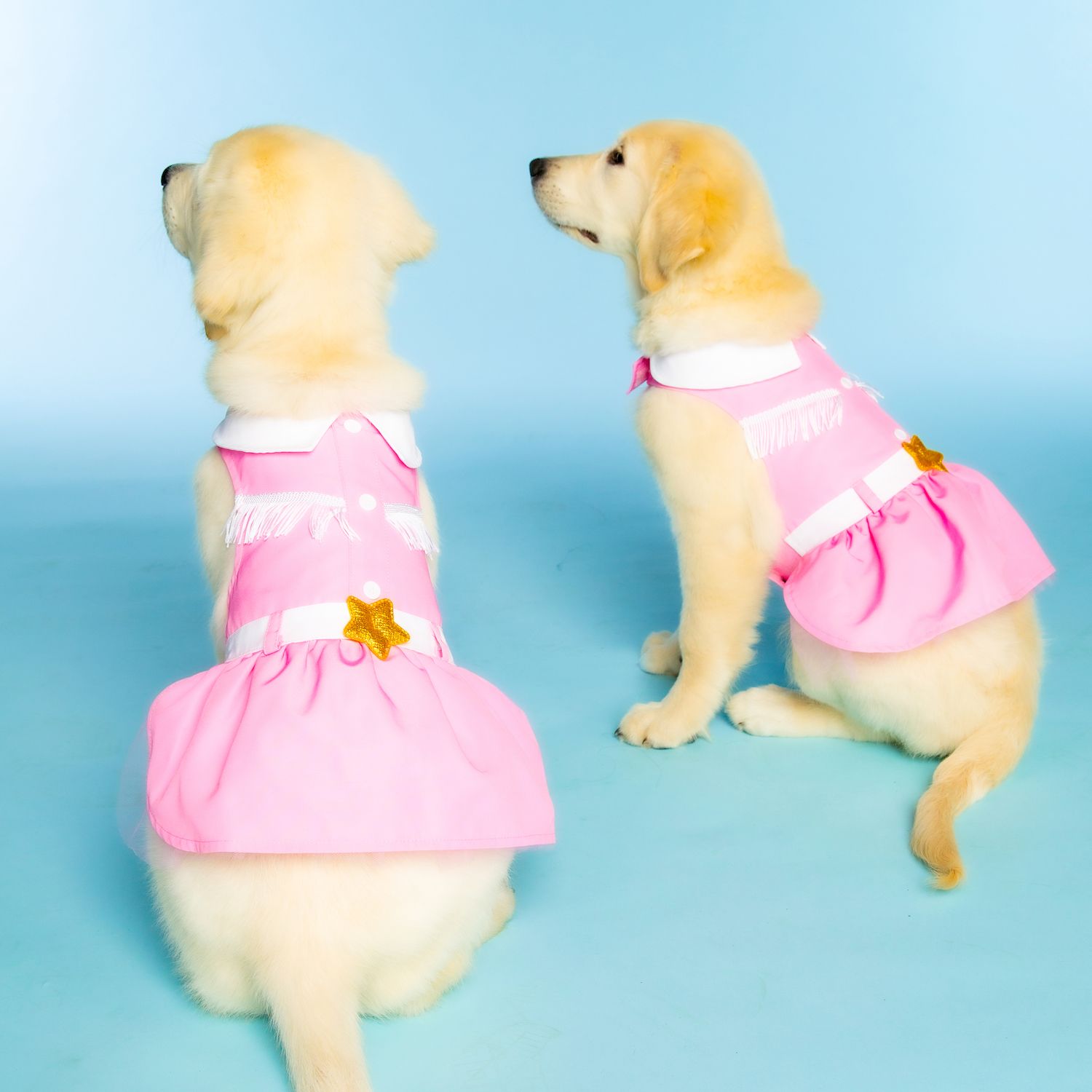 Doggy Parton Pink Cowgirl Dress For Small Dogs - Fringe & Star Collared Outfit, XS Size