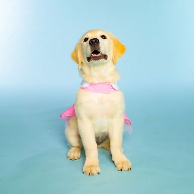 Doggy Parton Pink Cowgirl Collared Dress Dog Costume