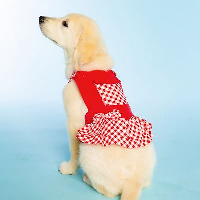 Doggy Parton Red Gingham Overalls Dress
