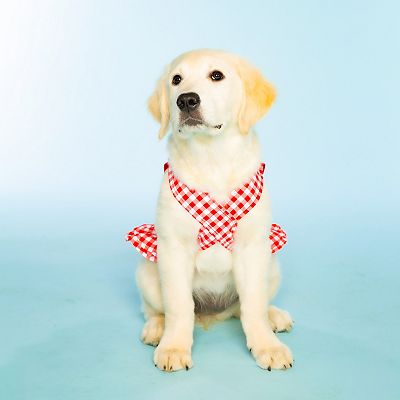 Doggy Parton Red Gingham Overalls Dress
