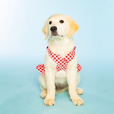 Doggy Parton Red Gingham Overalls Dress Dog Costume