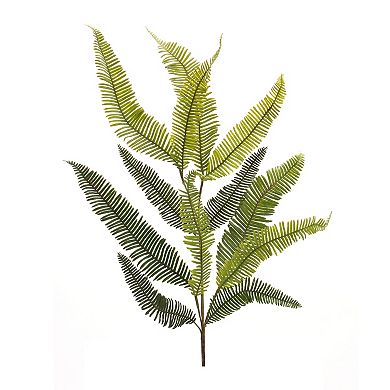 Melrose 6-Piece Variegated Fern Foliage Spray