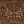 Mocha