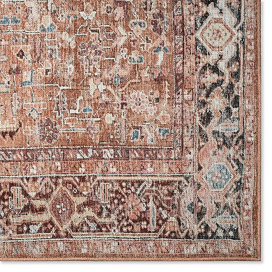 Everwash Callaghan Edith Distressed Medallion Area Rug or Runner