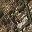 Mossy Oak Country