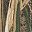 Mossy Oak Shadow Grass