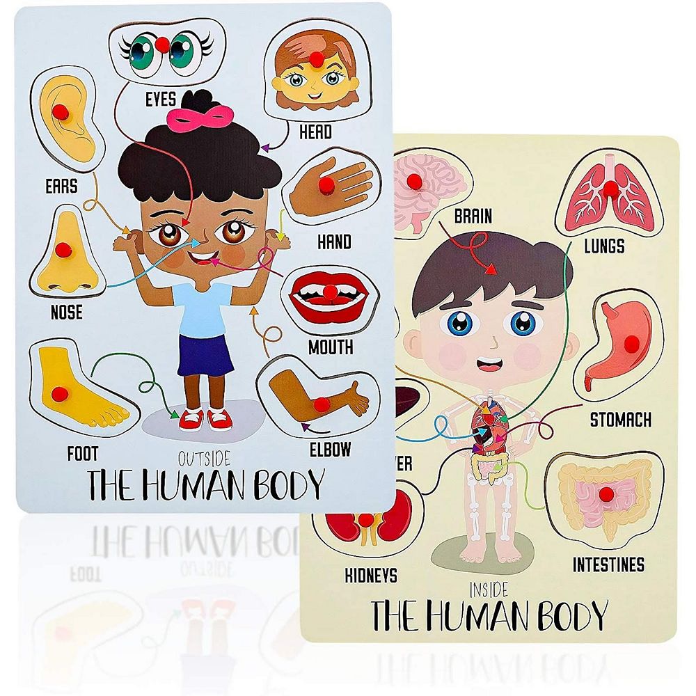 Educational Wood Peg Anatomy Puzzle Game for Kids, Human Body Parts (2 ...