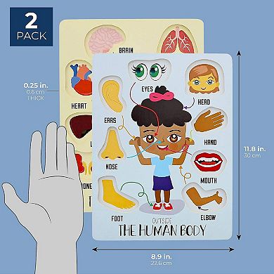 Educational Wood Peg Anatomy Puzzle Game for Kids, Human Body Parts (2 Pack)