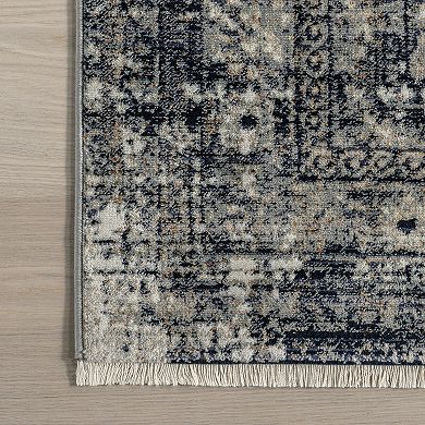 nuLOOM Charvi Distressed Medallion Area Rug