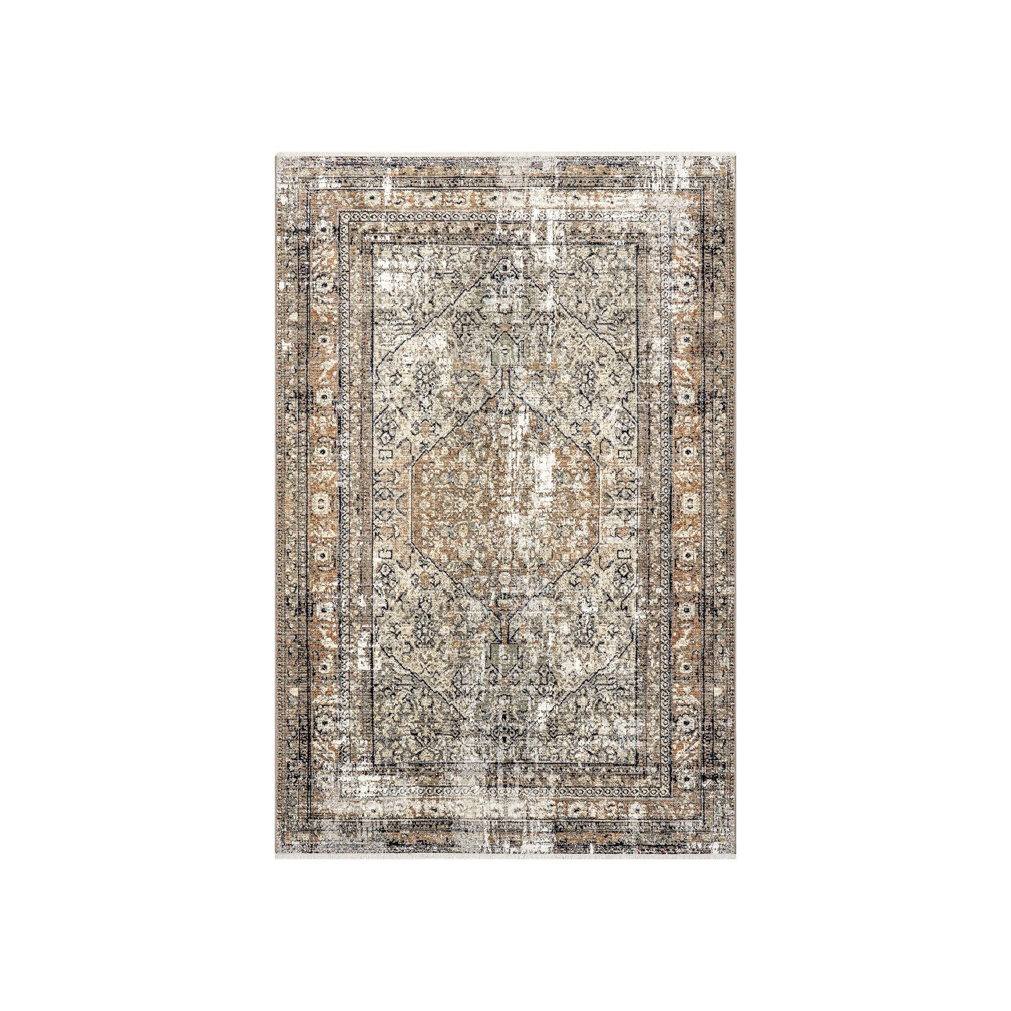 nuLOOM Charvi Distressed Medallion Area Rug, Beige