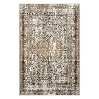 nuLOOM Charvi Distressed Medallion Area Rug