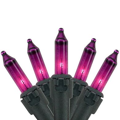 Northlight 100-Count Purple Mini Incandescent Christmas Lights
