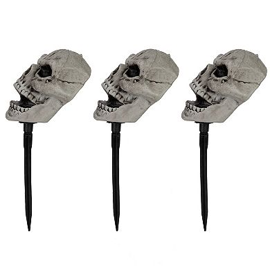 Northlight Skull Halloween Outdoor Garden Stake 3-piece Set