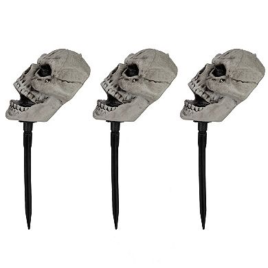 Northlight Skull Halloween Outdoor Garden Stake 3-piece Set