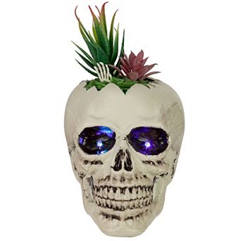 Northlight LED Faux Succulent Halloween Skull Planter Table Decor