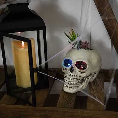 Northlight LED Faux Succulent Halloween Skull Planter Table Decor