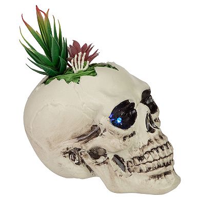Northlight LED Faux Succulent Halloween Skull Planter Table Decor