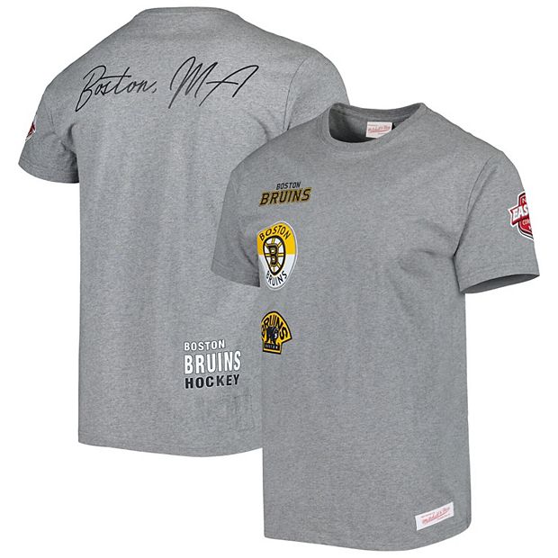 Men's Mitchell & Ness Heather Gray Boston Bruins City Collection T