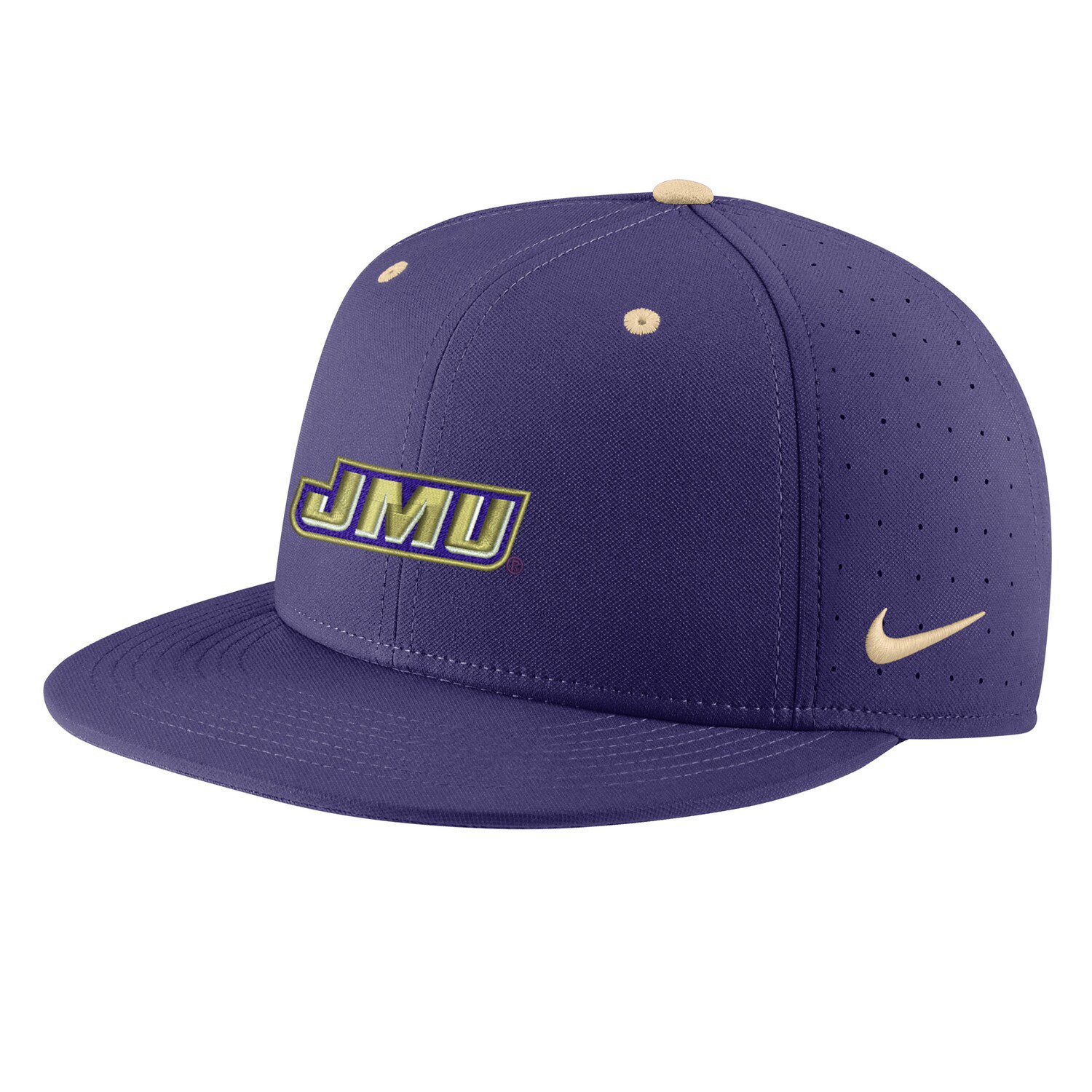 Men's Nike Purple Washington Huskies Aerobill Performance True Fitted Hat