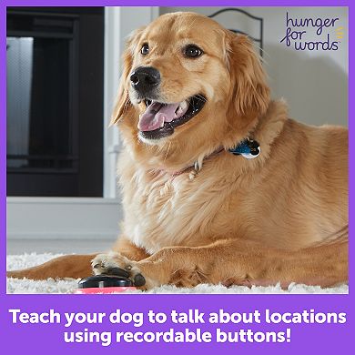 Hunger For Words Talking Pet Next Words Locations 3-piece Set