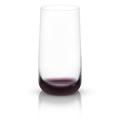 JoyJolt Black Swan 4-pc. Highball Glass Set