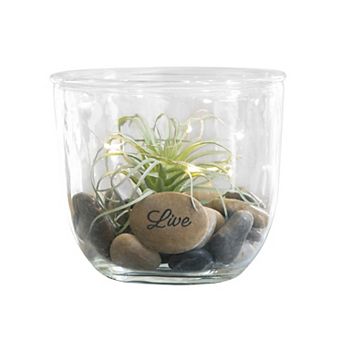 Studio 66 Natura LED Lighting Jar Table Decor