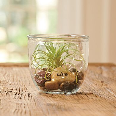 Studio 66 Natura LED Lighting Jar Table Decor