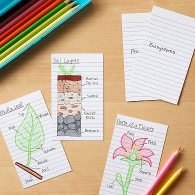 Portrait Style Vertically Ruled Index Cards, Checklist (3 x 5 In, 300 Pack)